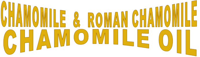 CHAMOMILE  &  ROMAN CHAMOMILE CHAMOMILE OIL